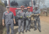 Bombeiros resgatam bicho-preguiça no Bairro do Boa Vista do Silva
