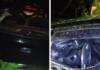 Carro cai em ribanceira após colisão com árvore na rodovia Capitão Bardoíno