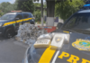 PRF prende casal transportando mais de 600 kg de maconha na rodovia Fernão Dias
