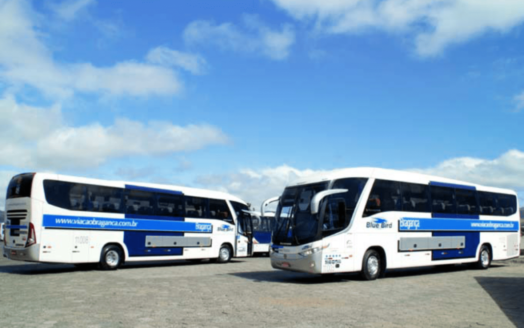 +B Site Banner-min (80)