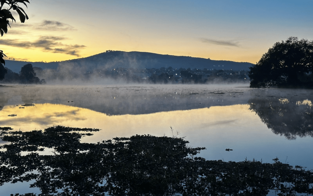 +B Site Banner-min - 2024-08-13T073943.837