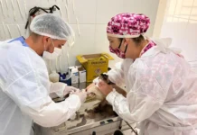 Castramóvel atenderá pets do Bom Retiro com castração gratuita nos dias 25 e 26