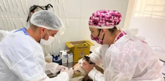 Castramóvel atenderá pets do Bom Retiro com castração gratuita nos dias 25 e 26