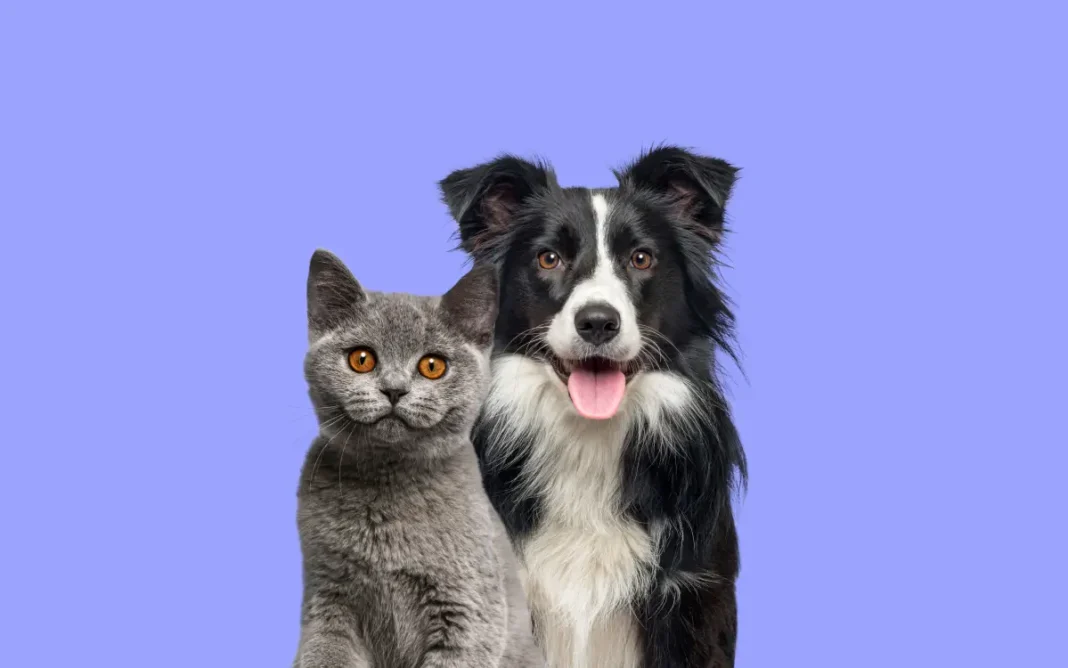 Castramóvel estará no bairro Biriça do Campinho neste fim de semana