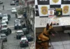 Operação da Polícia Civil realiza apreensão de drogas e prisão por tráfico em Bragança Paulista