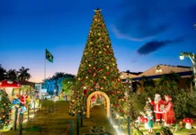 Amparo celebra Natal Ypê 2025 com tema “Jardim de Histórias” e entrada gratuita