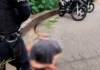 GCM de Bragança Paulista apreende drogas e dinheiro com adolescente no bairro Nicola Cortez