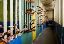 Mais de 1.100 presos não retornam após ‘saidinha’ de fim de ano em São Paulo