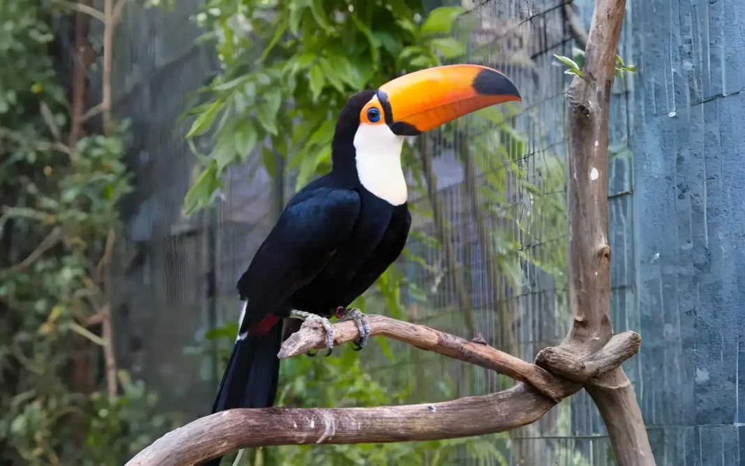 A vida silvestre no Jardim Publico um refugio natural na cidade