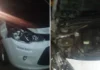 Boi atravessa rodovia e é atingido por carro