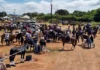 Cavalhada abre com sucesso a 58ª Expoagro e 31ª Festa do Peão de Bragança Paulista