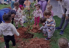 Creche Municipal do Oratório celebra o Dia da Conservação do Solo com plantio de árvores e roda de conversa