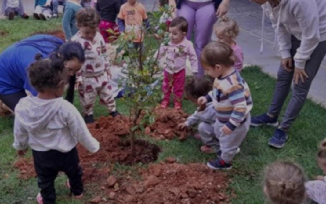 Creche Municipal do Oratório celebra o Dia da Conservação do Solo com plantio de árvores e roda de conversa-1