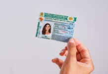 CNH do Brasil: 2,5 milhões de pessoas já começaram a tirar carteira sem autoescola