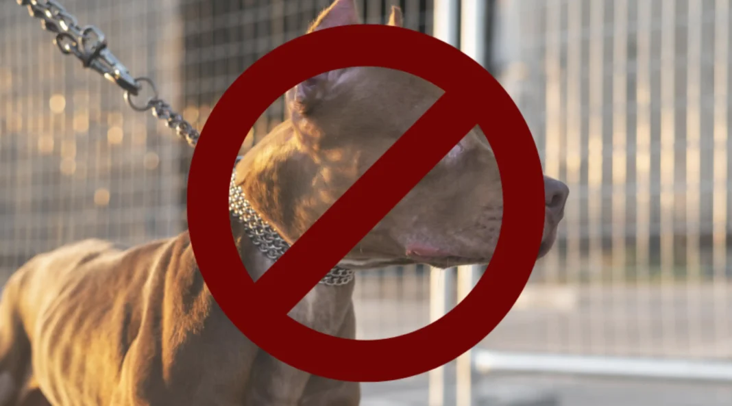 Atibaia vai fiscalizar lei estadual que proíbe acorrentamento de animais de estimação