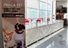 Bragança Shopping inaugura Praça Pet para ampliar experiência pet friendly