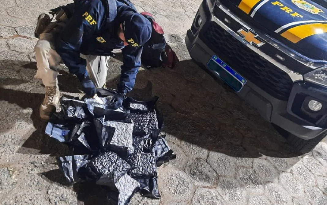 Motorista de aplicativo é preso com mais de 12 kg de skunk na Fernão Dias