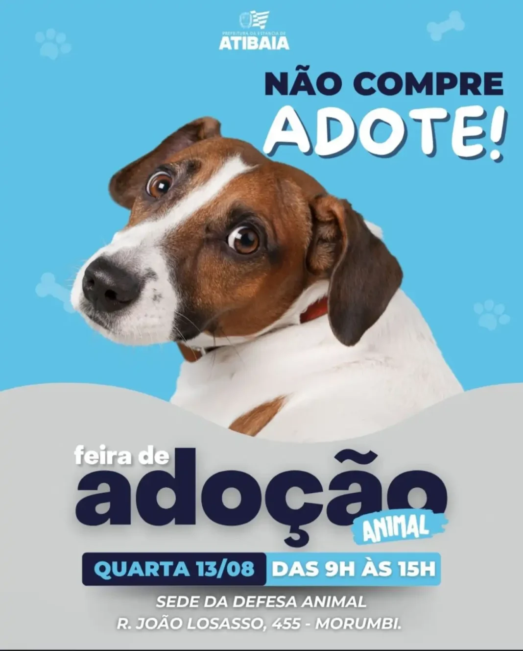 Defesa Animal recebe feira de adoção nesta quarta-feira (13)