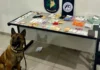 Polícia Militar e GCM prendem nove pessoas por tráfico de drogas em Bragança Paulista