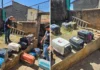 Polícia resgata animais mantidos em situação de maus-tratos no bairro Santa Libânia, em Bragança Paulista