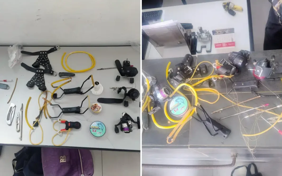 Crime contra o meio ambiente pesca irregular