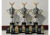 FAMA conquista 12 troféus de primeiro lugar em competições estaduais