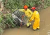 Corpo de Bombeiros realiza resgate seguro de cadela às margens do Ribeirão Lavapés