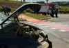 Motorista fica ferido após bater carro em poste no Bairro Vale Encantado