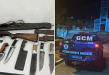 Caça clandestina termina em flagrante e prisão na região