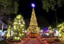 Natal Luzes da Serra 2025 anima Serra Negra com shows, desfile e atrações gratuitas