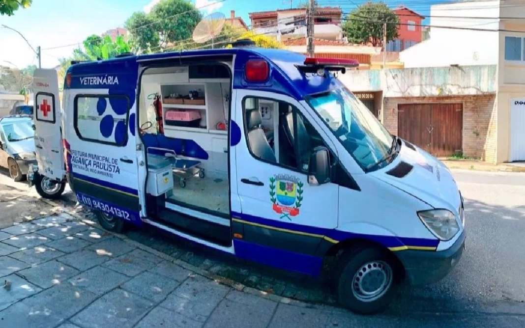 Resgate de animais em situação de rua funciona 24 horas em Bragança Paulista