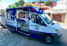 Resgate de animais em situação de rua funciona 24 horas em Bragança Paulista