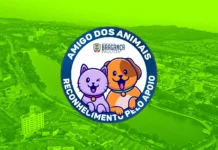 Bragança Paulista regulamenta Comissão do selo “Amigo dos Animais” para certificar ações de proteção animal