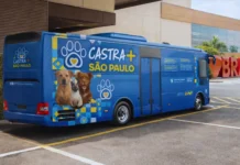 Castração gratuita e campanha de adoção movimentam Bragança Paulista em janeiro