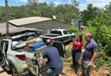 Denúncia de maus-tratos leva polícia a encontrar pássaros silvestres em residência