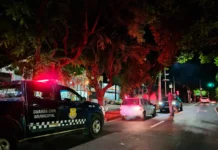 GCM flagra motorista por embriaguez ao volante em Bragança Paulista