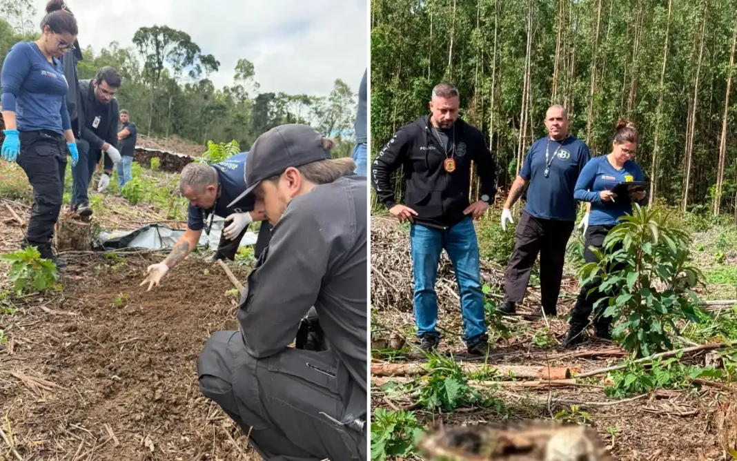 Mistério em Pedra Bela ossada humana é encontrada em área de difícil acesso