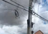 Prefeitura de Bragança Paulista notifica empresas por fios soltos em postes e cobra regularização