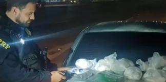 Ação na Fernão Dias termina com prisão por tráfico e apreensão de cocaína e crack