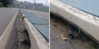 Após série de furtos, homem é preso em flagrante por cortar cabos de energia