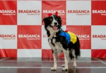 Bragança Shopping recebe Desfile Pet e feira de adoção de cães