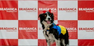 Bragança Shopping recebe Desfile Pet e feira de adoção de cães