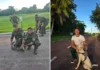Bragantino salva cachorro de ataque de sucuri em quartel do Exército no Pará