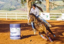 Campeonato de Cavalo Quarto de Milha tem 2ª etapa neste sábado em Bragança