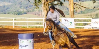 Campeonato de Cavalo Quarto de Milha tem 2ª etapa neste sábado em Bragança