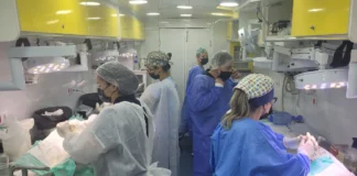 Castramóvel atende cães e gatos nos dias 24 e 25 de fevereiro em Bragança Paulista