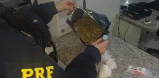 Dupla é presa com maconha, cocaína e ecstasy na Fernão Dias; cão é liberado