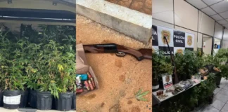 Megaoperação revela centro de produção de drogas com maconha, ecstasy, LSD e metanfetamina