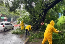 Município registra quase 200 mm de chuva em três dias em Bragança Paulista