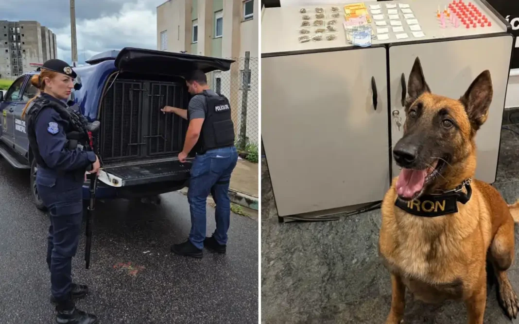 Operação conjunta prende homem por tráfico d